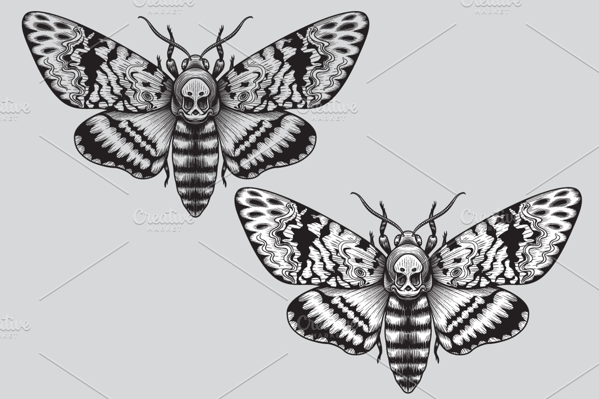 Monochrome Death's-Head Hawk Moth, a Decorative Illustration by Valentyna Smordova (Photo 2 of 2)