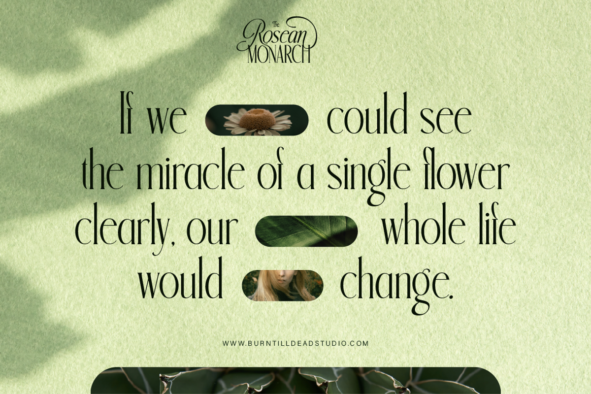 Rosean Monarch, a Serif Font by Burntilldead (Photo 12 of 12)