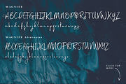 Magnite Brush Script, a Script Font by Tom Chalky (Thumbnail 5 of 10)