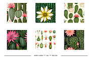 Cactus Flower Retro Art Designs, a Pattern Graphic by karenfoleyphoto (Thumbnail 7 of 18)