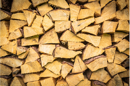 Closeup Natural cut wood textured, an Abstract Photo by Rodica Ciorba