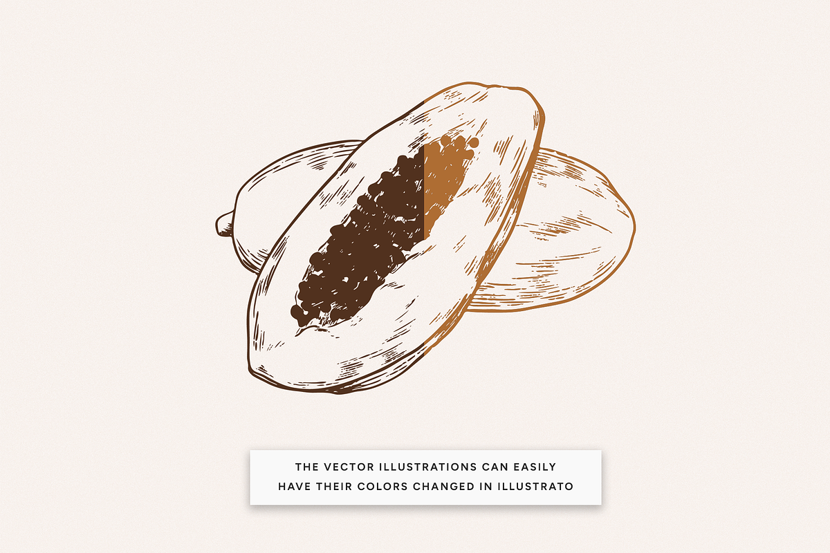 Exotic fruits Illustrations, a Food Illustration by MargauxQuercy (Photo 3 of 4)