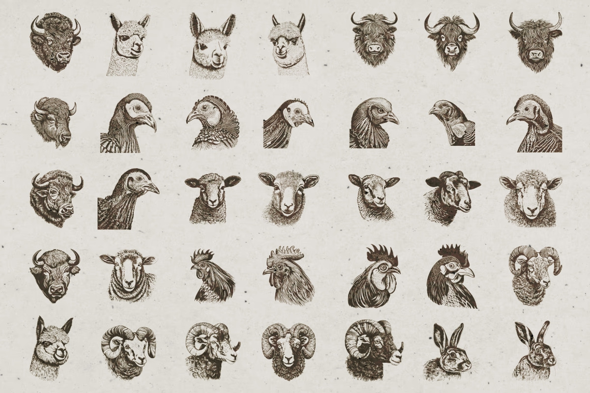 Farm Animals Illustrations, an Animal Illustration by Nocturnal Wolf (Photo 6 of 14)