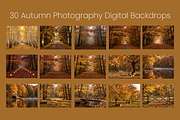Autumn Photography Digital Backdrops, a Background Graphic by 3Motional (Thumbnail 9 of 19)