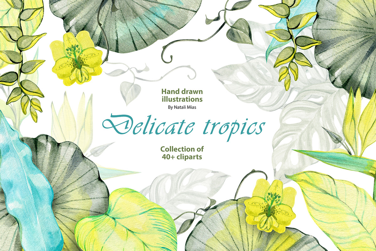 Delicate Tropics Watercolor Clipart, a Decorative Illustration by NataliMiasStore (Photo 1 of 7)