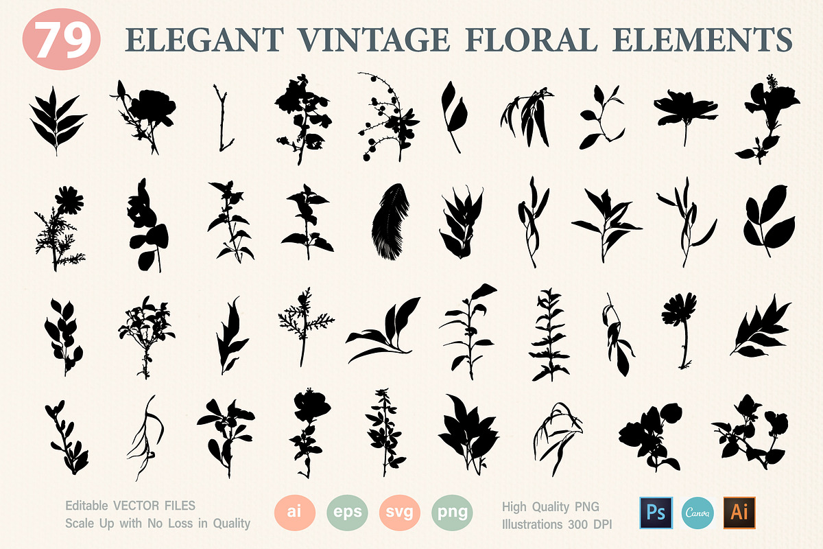 Vintage Floral Elements Atelier, an Object Graphic by Katrinelly (Photo 7 of 14)