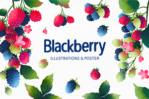 Blackberry fruits and leaves clipart