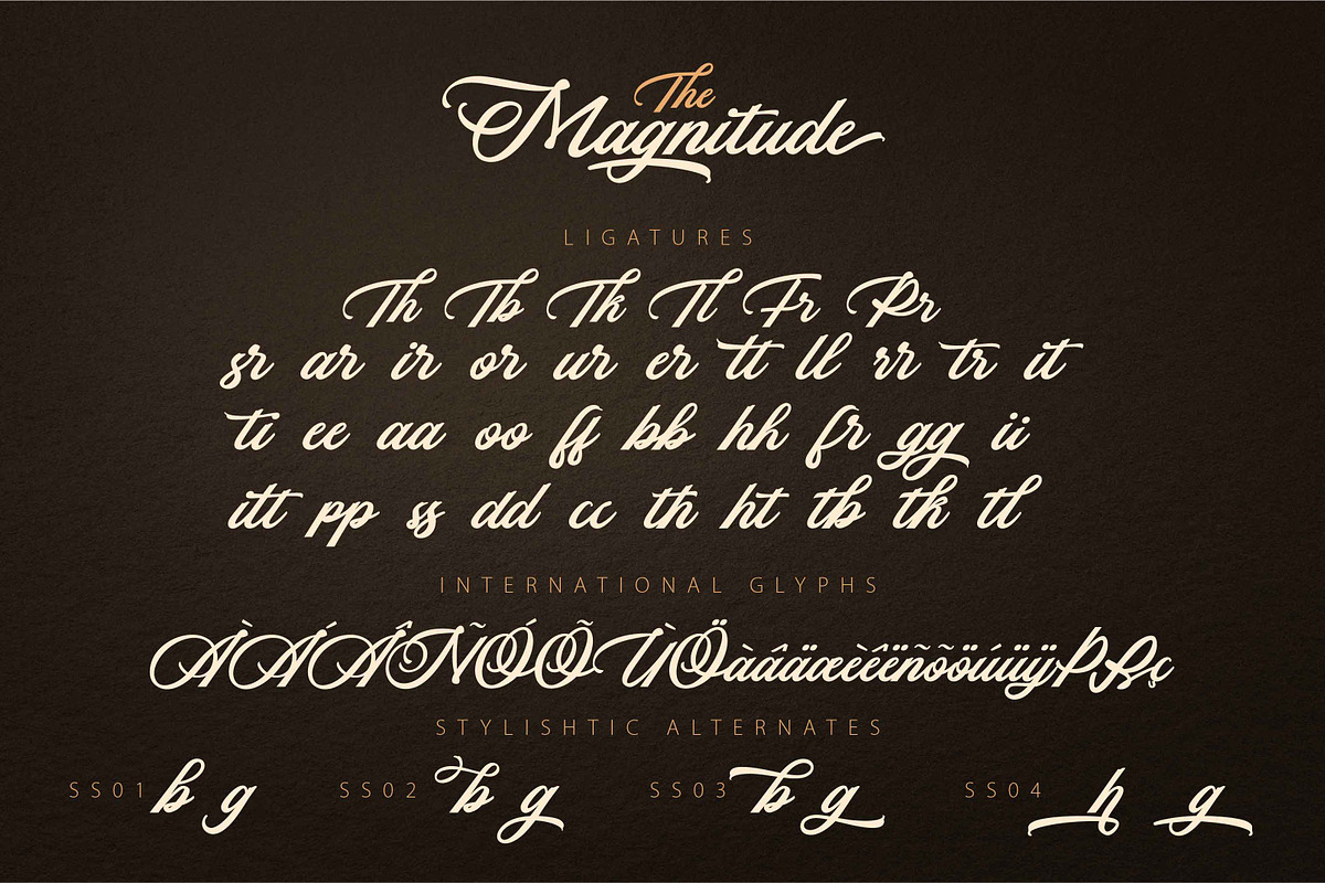 THE MAGNITUDE script, a Script Font by Olexstudio (Photo 9 of 9)
