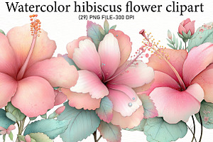 Watercolor hibiscus flower clipart, an Illustration by Designworld