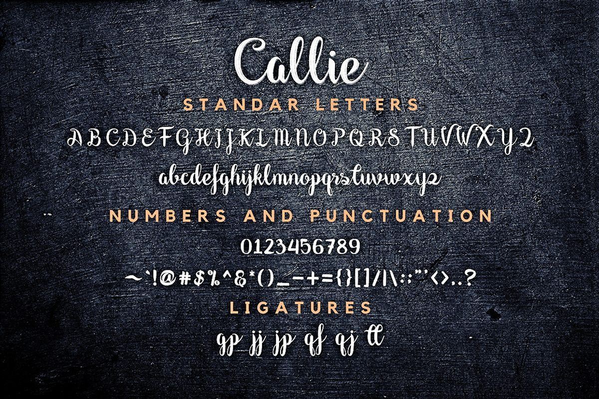 Callie - Modern Brush Font, a Script Font by Ahmad Pkp Studio (Photo 8 of 9)