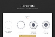 3 in 1 Floral Kit Bundle, a Branding & Logo Template by VladCristea (Thumbnail 4 of 30)