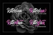 Miguela Script, a Script Font by RedyStudio (Thumbnail 3 of 10)