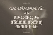 Anticha Atelier – Luxury Font Duo, a Handwritten Font by Nollev (Thumbnail 12 of 14)