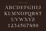 Anges - stylistic Art Nouveau font, a Serif Font by TypeFaith Fonts (Thumbnail 3 of 13)