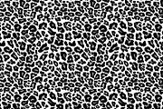 Leopard Skin Seamless Pattern Set., a Texture Graphic by Gomolach (Thumbnail 20 of 21)