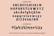 Nightmarish Serif Halloween Font, a Serif Font by Beck McCormick (Thumbnail 10 of 10)