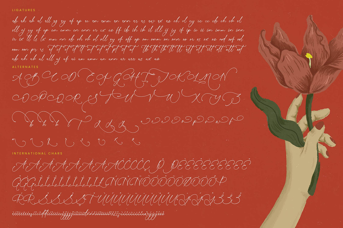 Sunlite Kinetic Stylish Calligraphy, a Script Font by stylishtype.co (Photo 19 of 20)