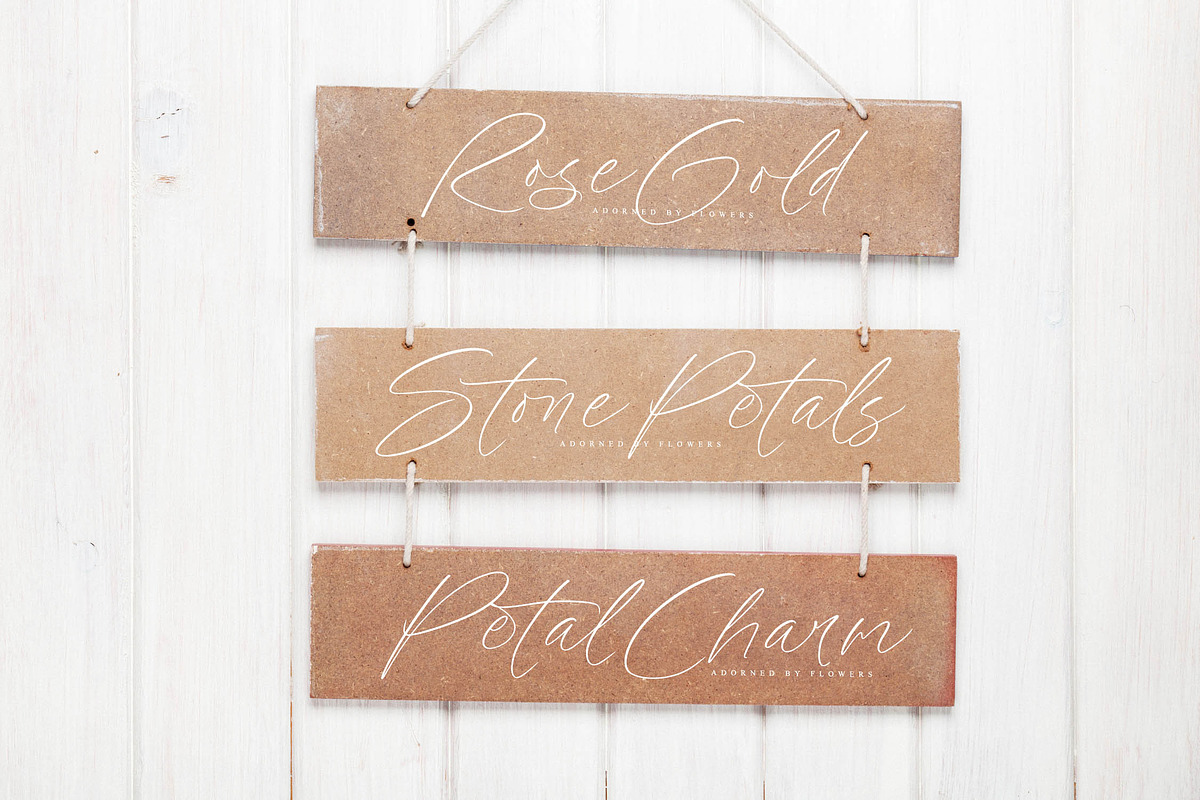 Artfully Stylish, a Script Font by operatype.co (Photo 4 of 15)