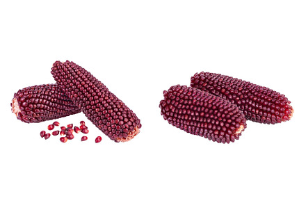 Purple corn or maize isolated on, a Food & Drink Photo by NataPhoto