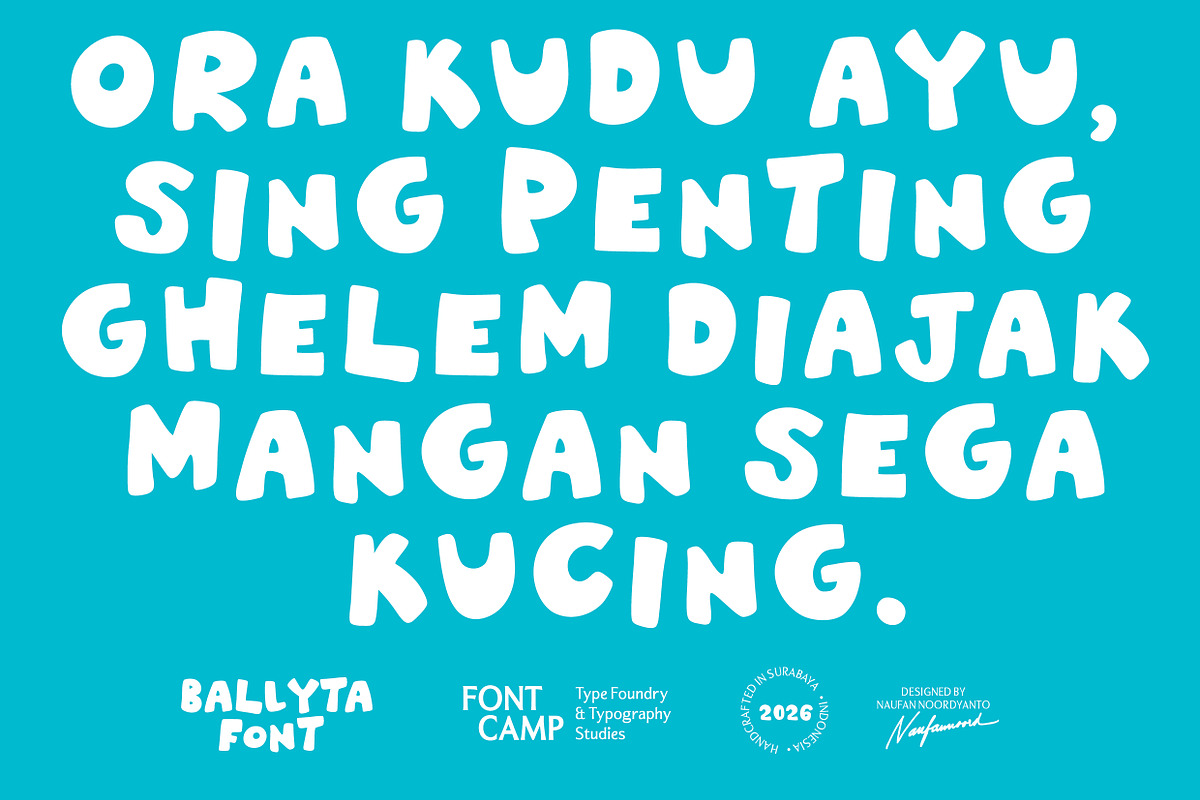 Ballyta Font, a Handwritten Font by Fontcamp Type Foundry (Photo 15 of 18)