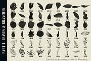 Tropics Photoshop&Procreate Brushes, a Brush Add-On by Struvictory.art (Thumbnail 3 of 8)