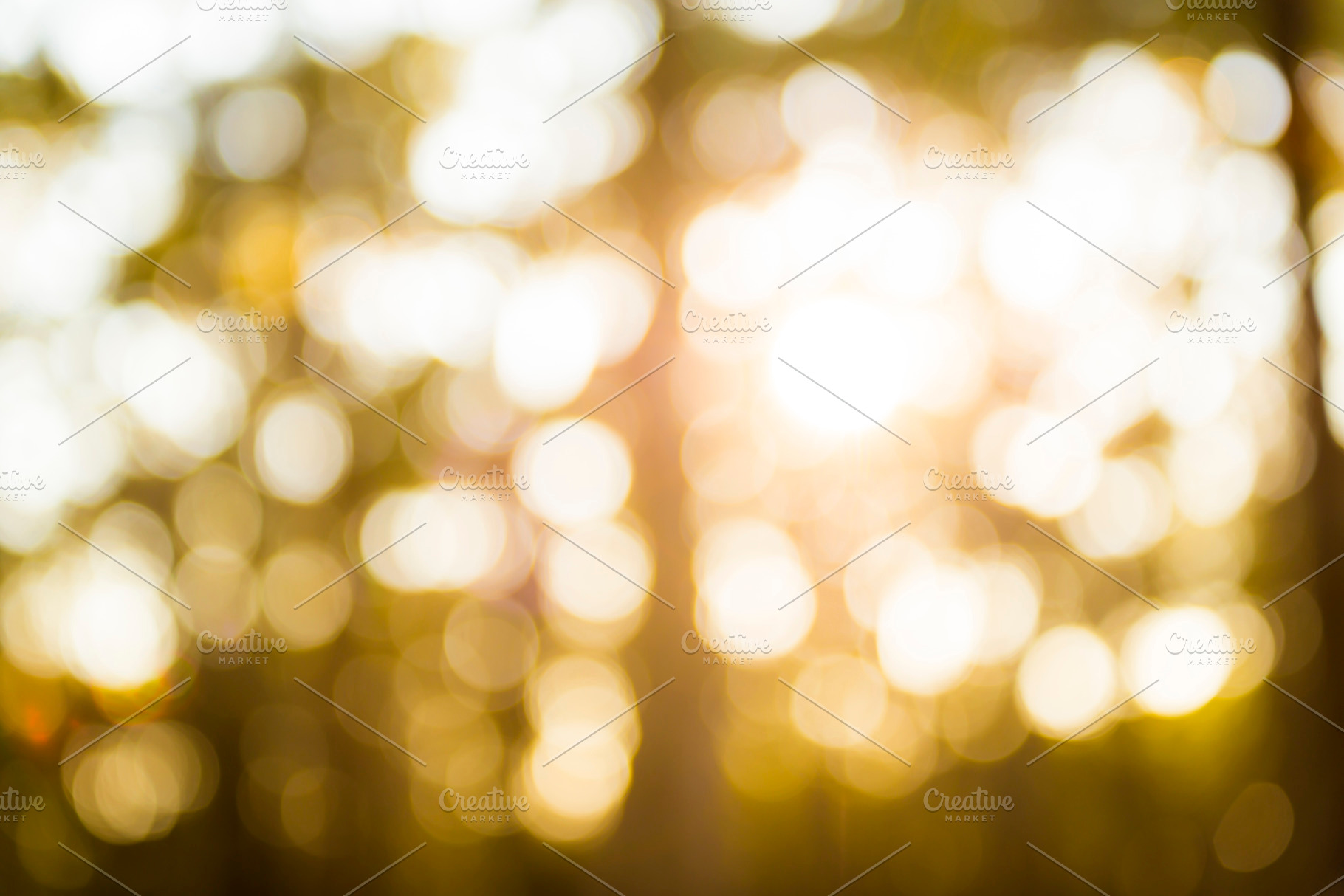 Nature Bokeh Background, a Background Photo by THP Creative