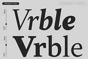 TT Jenevers, a Serif Font by TypeType (Thumbnail 5 of 15)