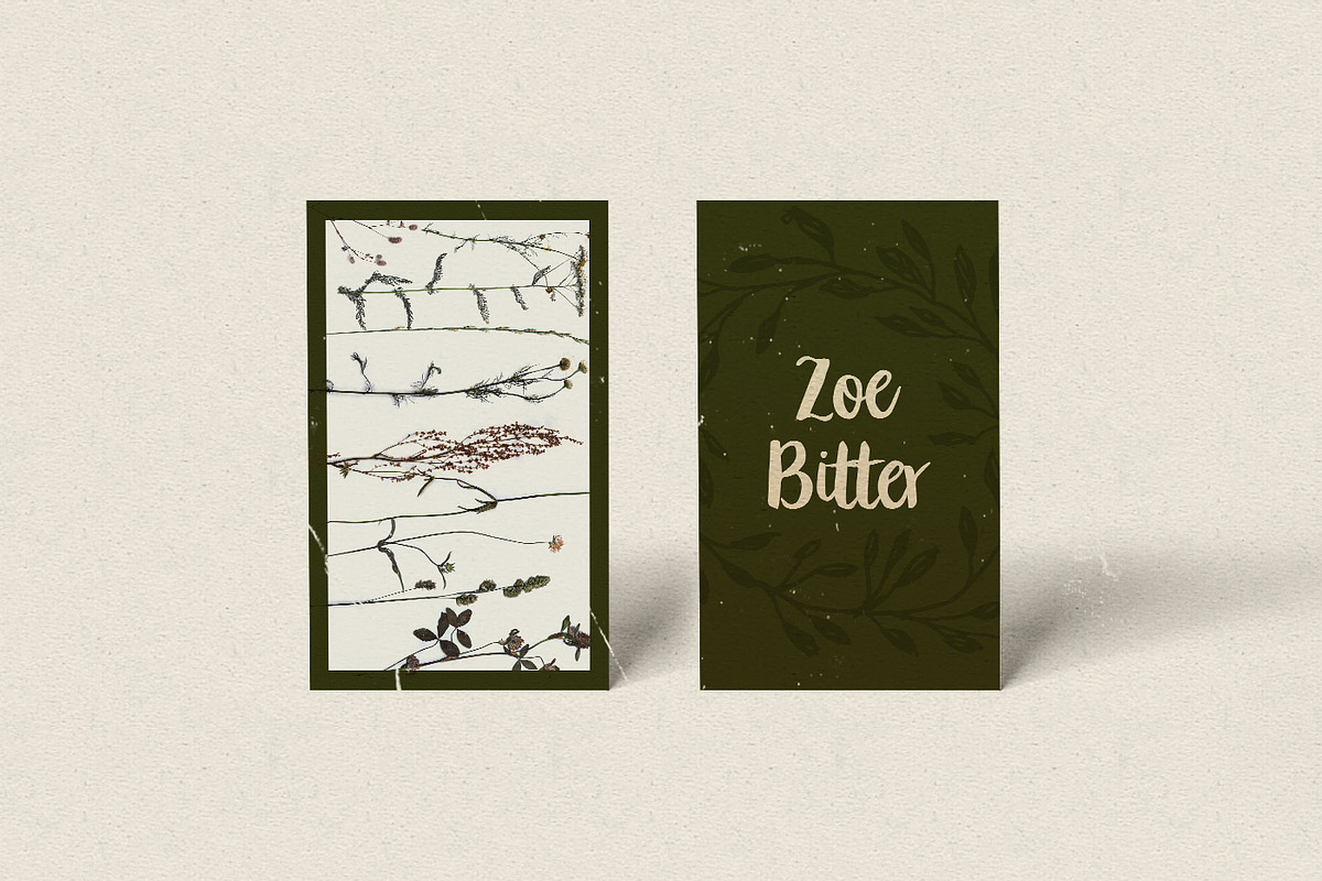 Peomy Extended Font & Illustrations, a Script Font by Wild Ones (Photo 6 of 13)