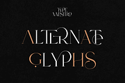 SALE! Type Maestro -  serif font, a Serif Font by VP Fonts (Thumbnail 17 of 25)