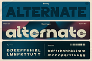 Borney, a Sans Serif Font by Burntilldead (Thumbnail 5 of 13)