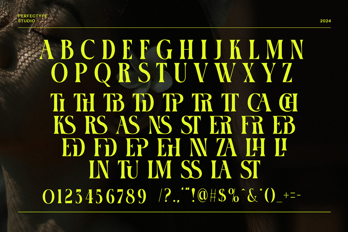 Tronse Elegant Serif Font, a Serif Font by Perfectype (Photo 8 of 8)