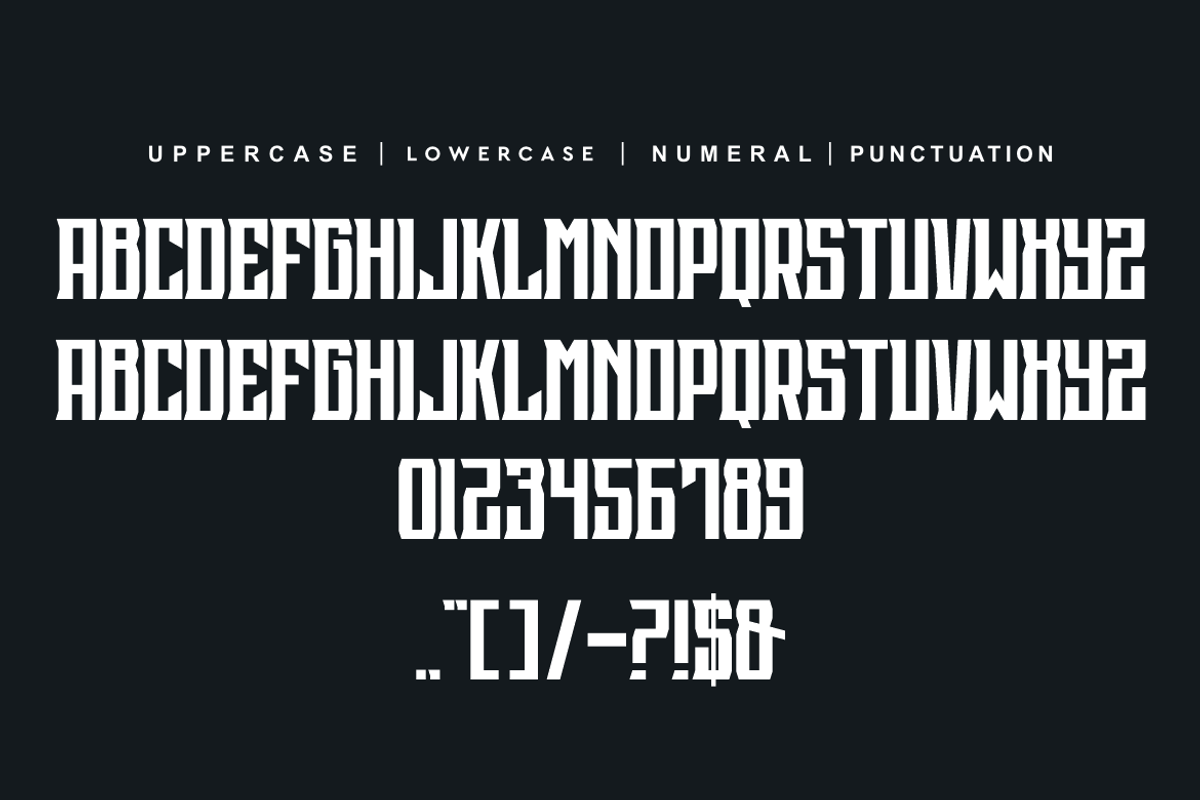 Black Sponder, a Serif Font by alon kelakon (Photo 5 of 6)