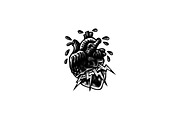Human Heart | Tattoo Style, an Education Illustration by Design by sebrodbrick (Thumbnail 3 of 11)