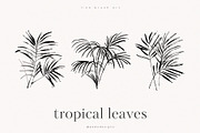 Tropical Leaves, a Decorative Illustration by PeDe Designs (Thumbnail 7 of 7)