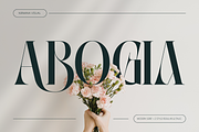Abogia - Modern Serif Logo Font, a Serif Font by Nirmana Visual (Thumbnail 1 of 16)
