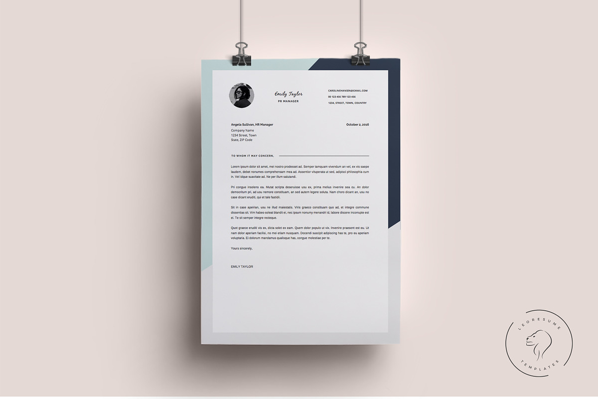 Professional Resume Template, a Resume Template by Leo Resume (Photo 3 of 5)