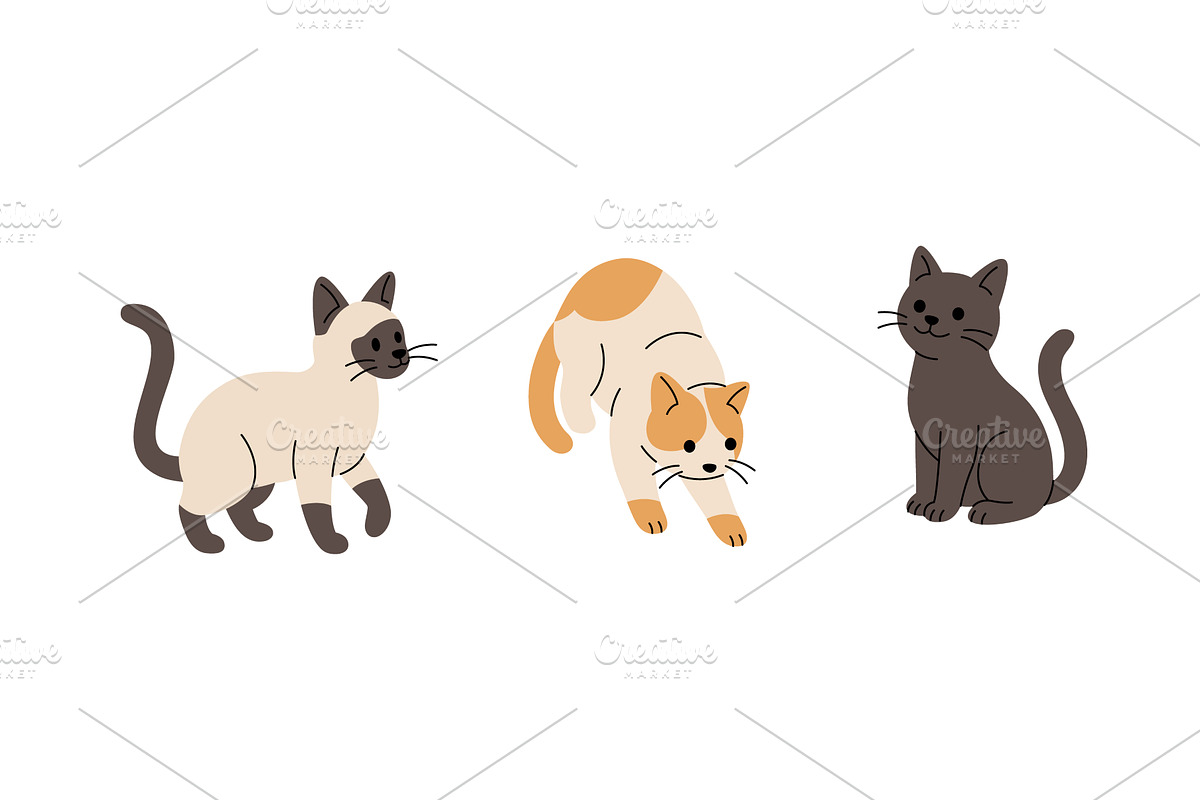 Set of cartoon cats in different, an Animal Illustration by GraphiShop