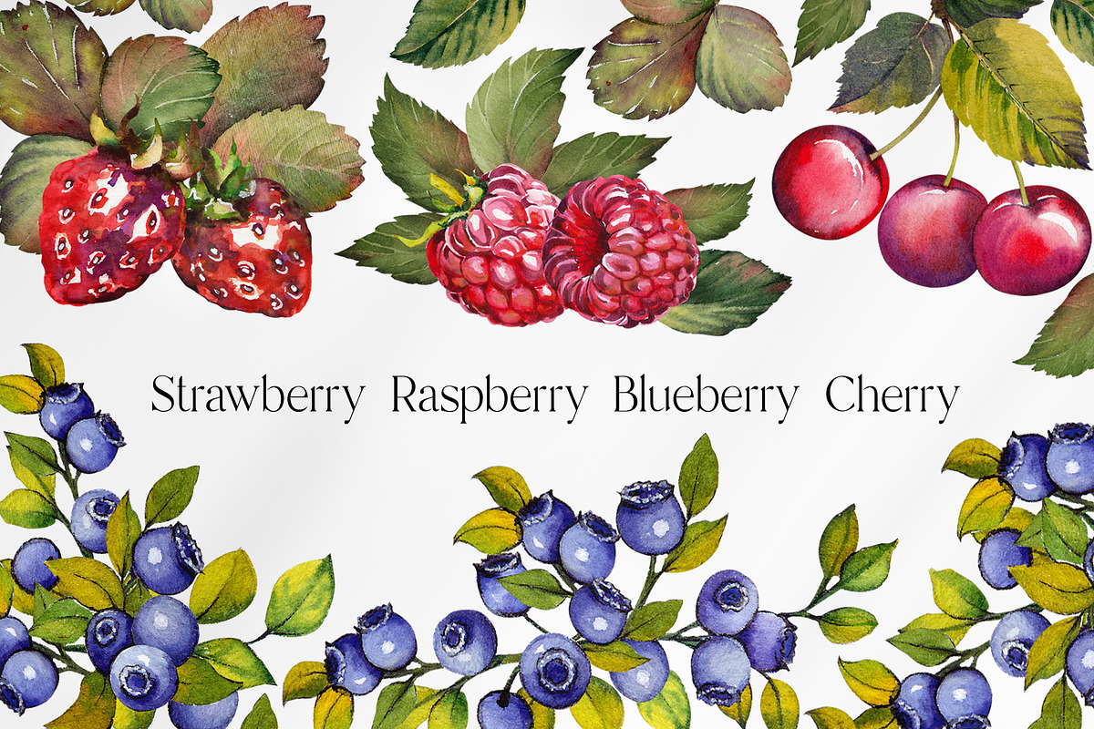 Berries, a Food Illustration by Jeanna Draw (Photo 1 of 12)
