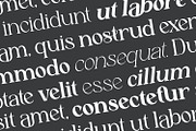 Astafine - Serif Typeface Family, a Serif Font by Rishsketch (Thumbnail 4 of 16)