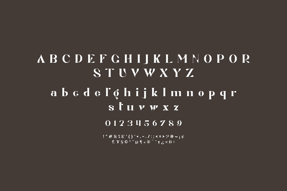 Jegan Serif Typeface, a Serif Font by yaqublekker (Photo 8 of 8)