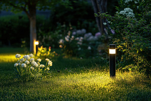 Delicate white flowers bloom beside, a Photo by Pavel_design