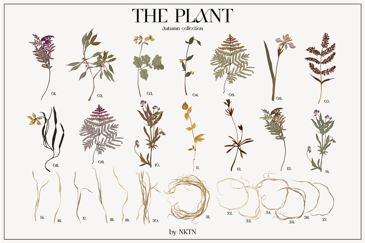 The PLANT. Autumn collection, a Pattern Graphic by NKTN (Photo 4 of 18)