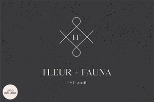 Equinox Stylish Font Duo & Logo Set