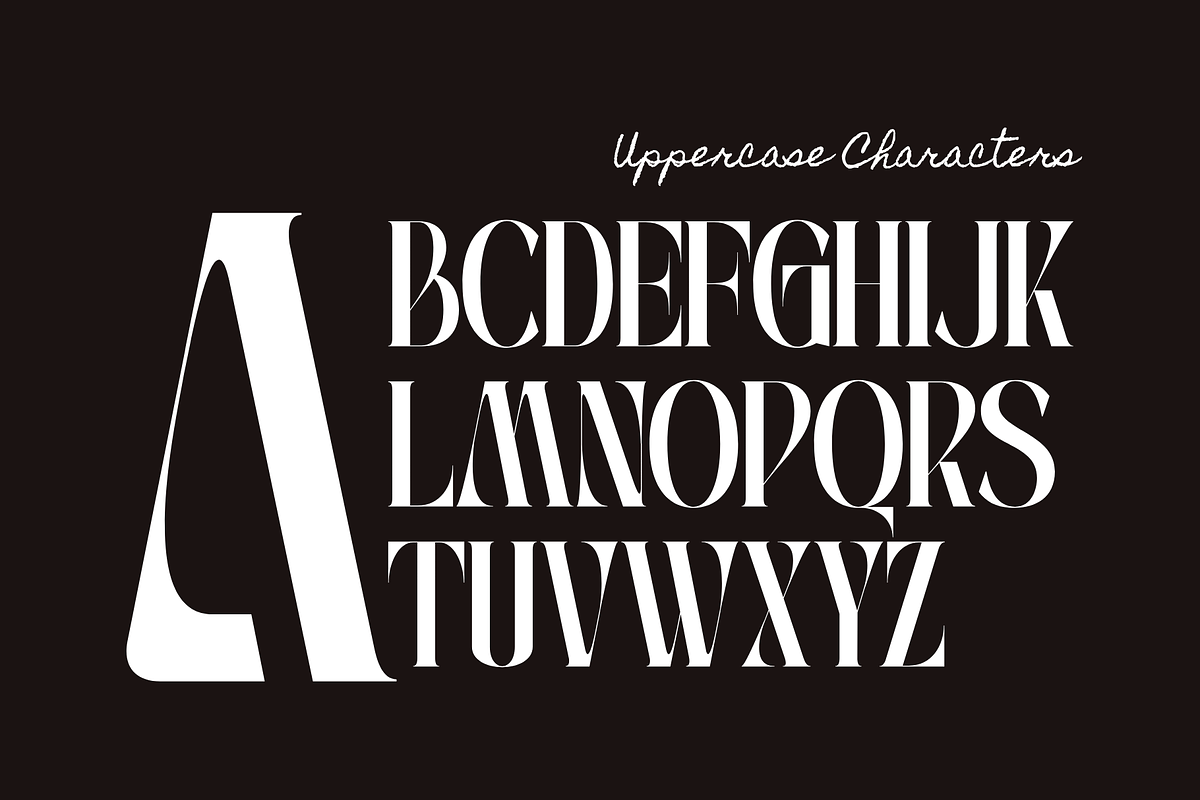 Roave - Modern Elegant Serif Font, a Serif Font by Illushvara Design (Photo 4 of 11)