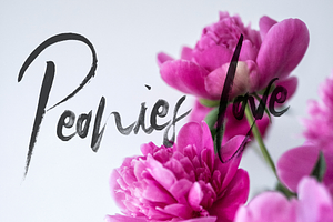 SkyLove SVG Watercolor Font