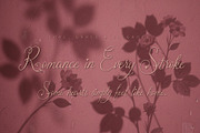 Arine Rosevaly - Romantic Script, a Script Font by HypeWorksCo (Thumbnail 6 of 15)
