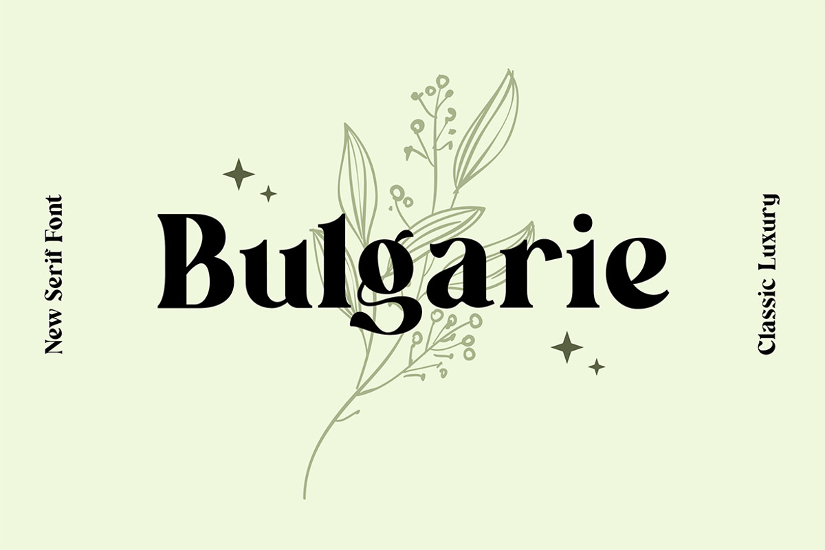 Wainscoted Modern Serif Font, a Serif Font by UICreative (Photo 3 of 12)