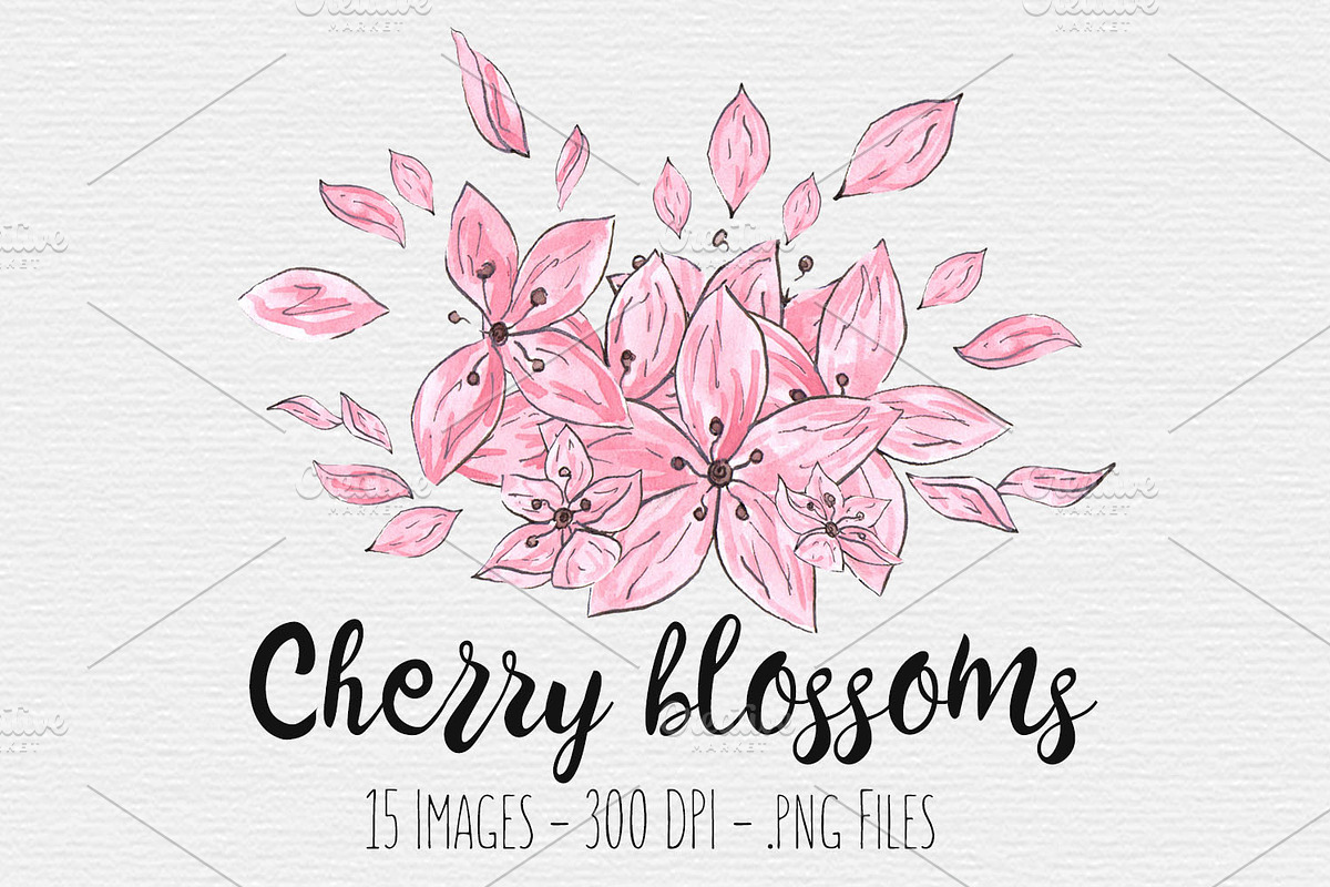 Cherry Blossom Watercolor Clipart, an Illustration by TigerlilyDesignCo (Photo 1 of 2)