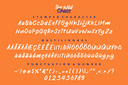 The Wild Chaos Font, a Script Font by Allouse Studio (Thumbnail 15 of 16)