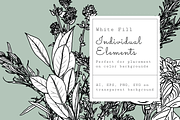 Fresh Herbs Line Drawings & Patterns, an Illustration by kittyShark Creative (Thumbnail 5 of 9)